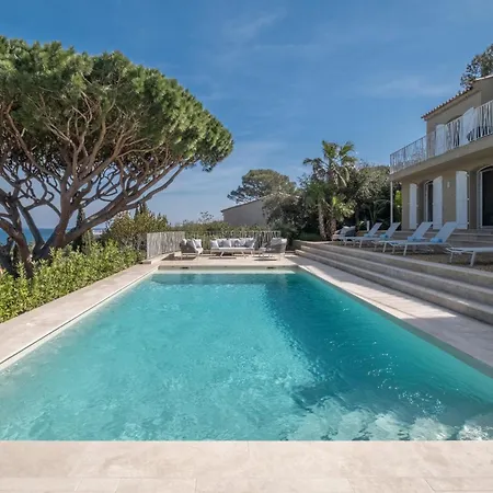 Marguerite * Saint-Tropez