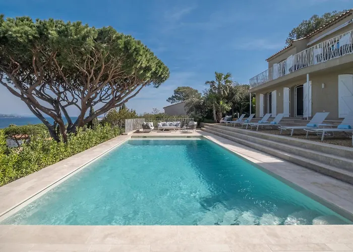 Marguerite * Saint-Tropez