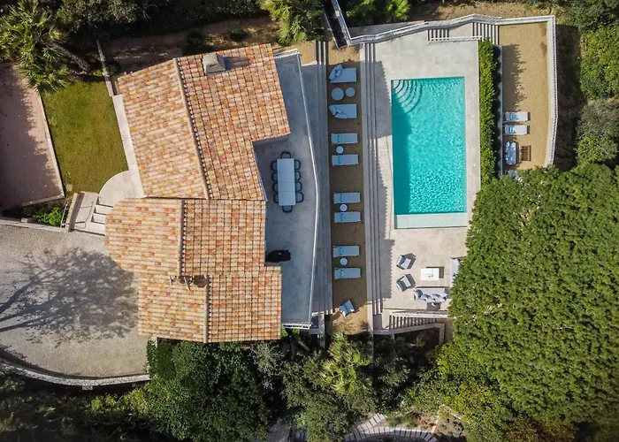 Marguerite * Saint-Tropez